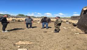 بني مسكين الشرقية: لجنة يقودها القائد حكيم مروان تشرف على عملية استراتيجية لحماية إناث القطيع وضمان استدامة الثروة الحيوانية