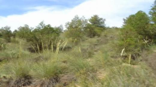 جماعة مشرع حمادي .. مؤهلات طبيعية وسياحية بحاجة إلى تثمين