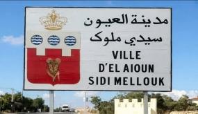 مدينة العيون الشرقية من ضمن المدن الوسيطة ..
