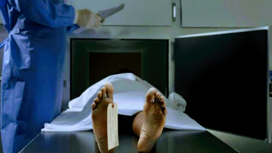 IMG-20260608-WA0007