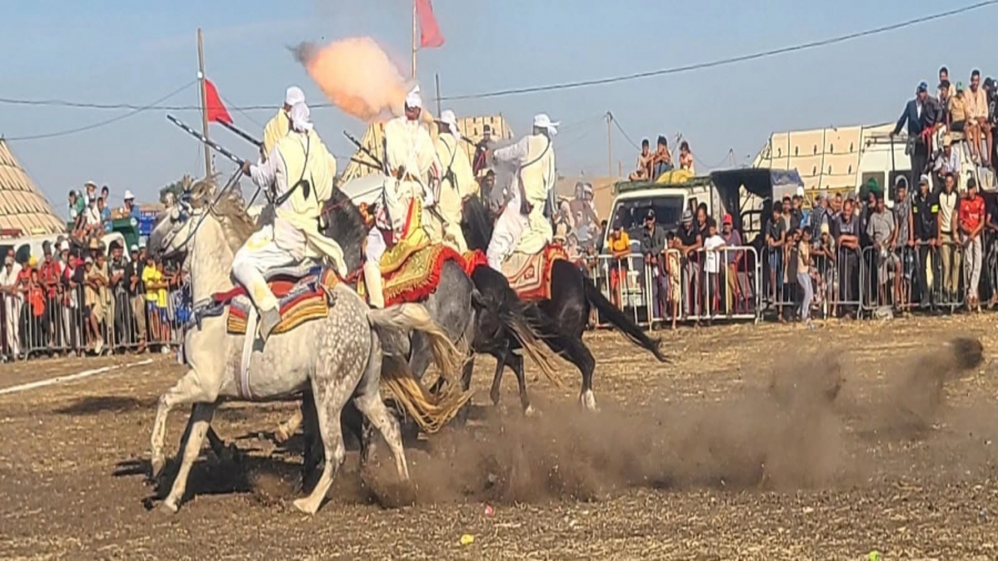 IMG-20260822-WA0006