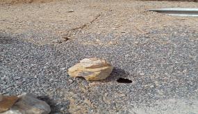 تصدعات خطيرة بمنعرجات تامدقورت بتنالت اقليم اشتوكة أيت باها تشكل خطرا علي مستعملي الطريق