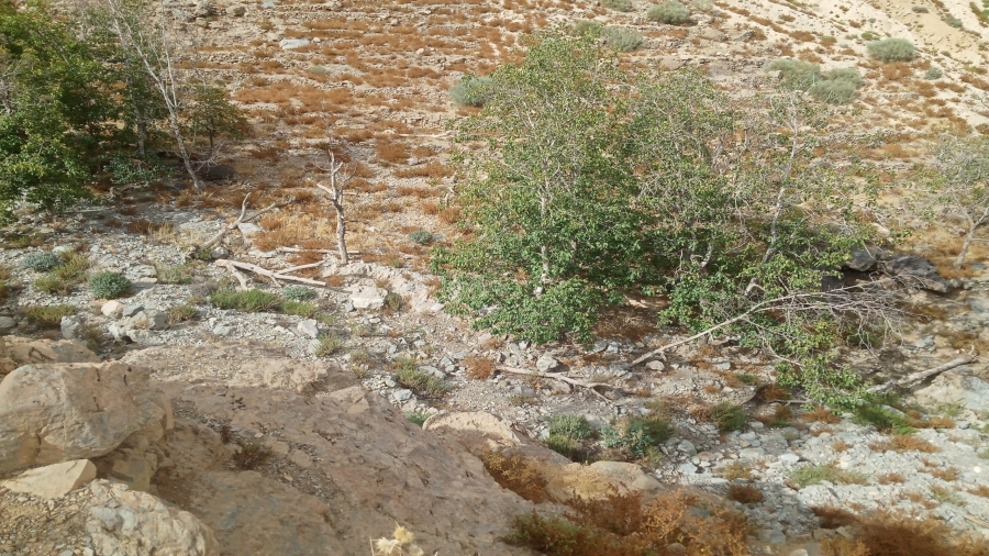 IMG20220911165242