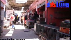 بعد سبات ثلاثة أشهر الحياة تعود لسوق الدواجن بانزكان .