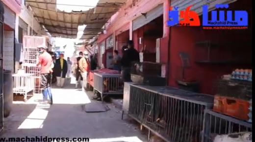 بعد سبات ثلاثة أشهر الحياة تعود لسوق الدواجن بانزكان .