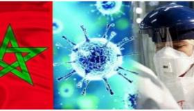 الوفيات اليومية لازالت فوق عتبة 30 حالة وهذا توزيع الضحايا على المدن 20