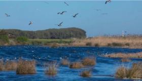 ائتلاف بيئي يطالب بحماية داية بوعزة من التدمر بالبيضاء