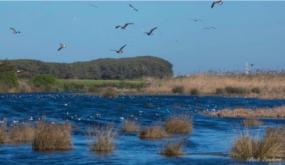 ائتلاف بيئي يطالب بحماية داية بوعزة من التدمر بالبيضاء