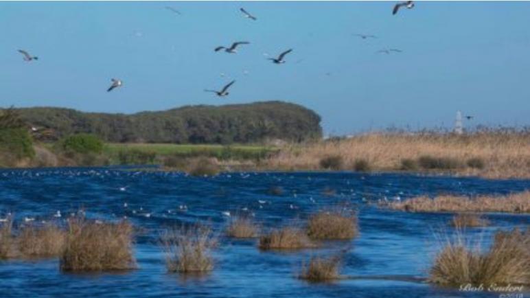 ائتلاف بيئي يطالب بحماية داية بوعزة من التدمر بالبيضاء