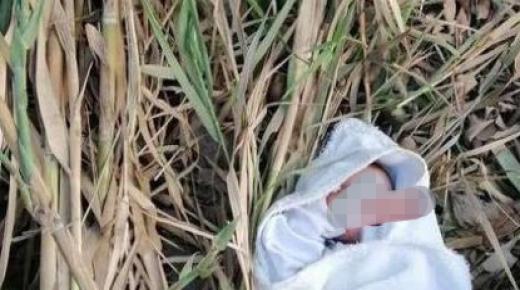 العثور على جثة رضيعة بأخليج جماعة تيكيوين عمالة اكاير اداوتنان