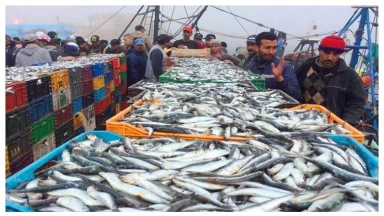 سوق السمك بميناء طانطان يحقق مطلع 2021 زيادة بنسبة 25 في المائة في قيمة تسويق