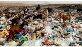 مطرح النفايات بالرشيدية.. “قنبلة بيئية” تهدّد مستقبل الساكنة