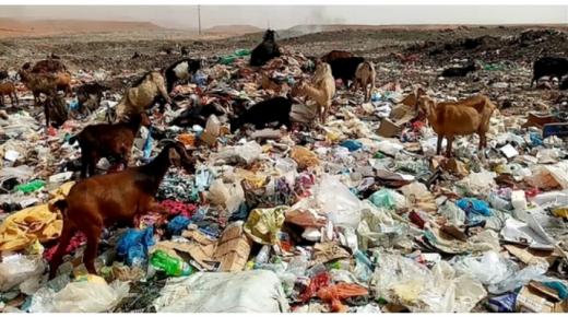 مطرح النفايات بالرشيدية.. “قنبلة بيئية” تهدّد مستقبل الساكنة