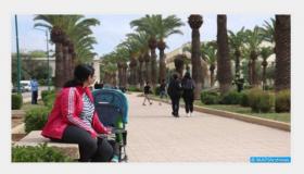 مجلس الحكومة يستمع إلى عرض حول السياسة الوطنية لمحاربة العنف ضد النساء والفتيات في أفق 2030