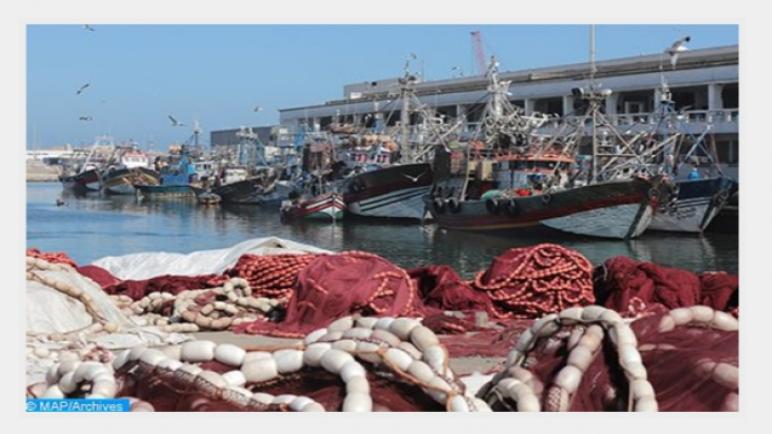 الصيد البحري.. ارتفاع قيمة المنتجات المسوقة بنسبة 28 في المائة إلى متم ماي الماضي