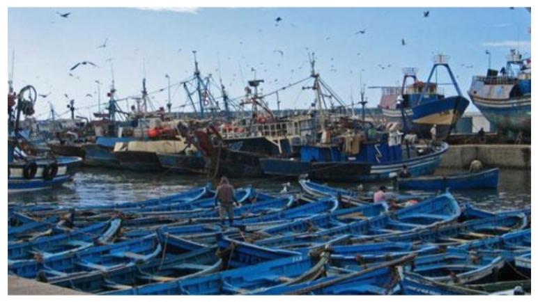 مهنيو الصيد البحري التقليدي بالصويرة يراسلون وزارة أخنوش للمطالبة بزيادة حصة الصيد