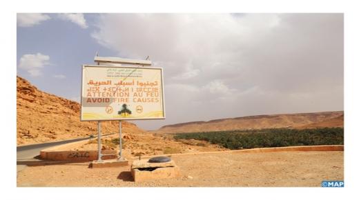 إجراءات التقليص من حرائق الواحات تروم الحماية الذاتية والرفع من النجاعة في التدخل