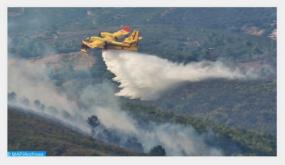 شفشاون إعداد مشروع لتأهيل غابة “سوكنا” عبر تشجير وتخليف 1100 هكتارا