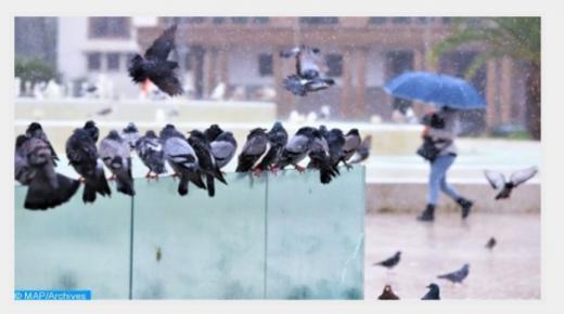 أمطار رعدية محليا قوية اليوم الثلاثاء وغدا الأربعاء بعدد من أقاليم المملكة