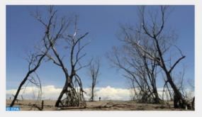 الشباب المغربي يشارك في مفاوضات المناخ بميلانو تحضيرا لمؤتمر “كوب-26”