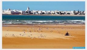 تسليط الضوء على مؤهلات وفرص الاستثمار بالصويرة