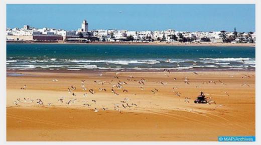 تسليط الضوء على مؤهلات وفرص الاستثمار بالصويرة