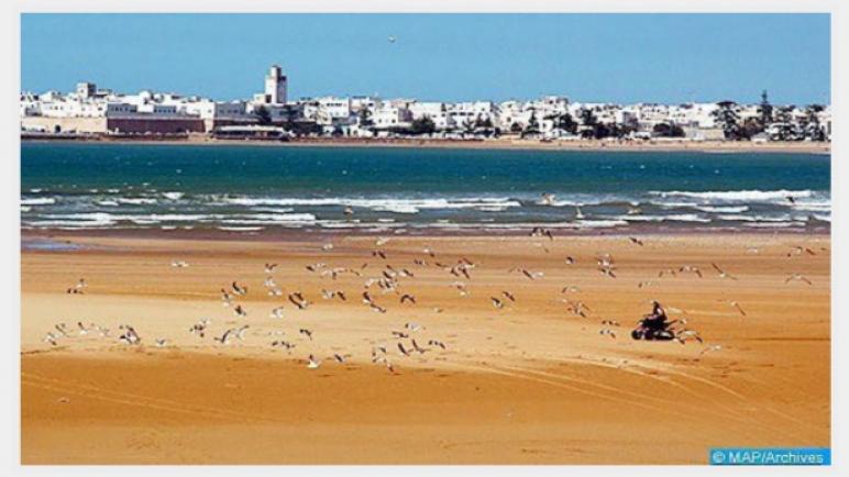 تسليط الضوء على مؤهلات وفرص الاستثمار بالصويرة