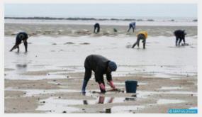 ارباب مراكب الصيد الساحلي وتجار وبحاري الصيد بالوطنية في بادرة مهنية