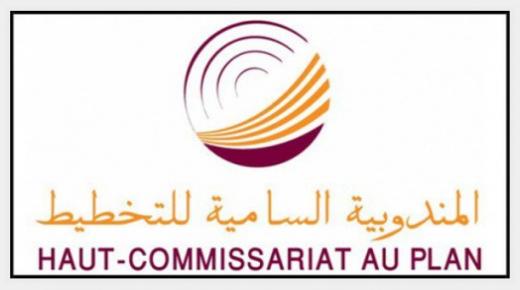 المندوبية السامية للتخطيط .. إطلاق الاستعدادات للإحصاء العام للسكان والسكنى 2024