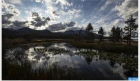 توقعات أحوال الطقس يوم الأحد