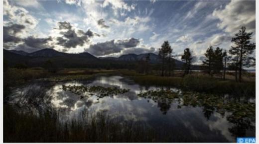 توقعات أحوال الطقس يوم الأحد