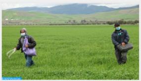 التساقطات المطرية الأخيرة تبث التفاؤل في نفوس الفلاحين