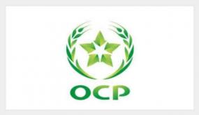 آسفي .. المكتب الشريف للفوسفاط يشارك في الحملة العالمية لمناهضة العنف القائم على النوع الاجتماعي