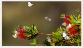 توقعات أحوال الطقس غدا الإثنين