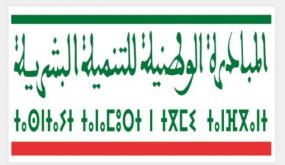 المبادرة الوطنية للتنمية البشرية.. 113 مشروعا لتدارك الخصاص في البنيات التحتية والخدمات الاجتماعية بإقليم الصويرة ما بين 2017 و2021