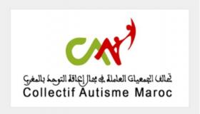 إعاقة التوحد: الدعوة إلى تبني سياسة عمومية مندمجة لتفعيل القوانين والبرامج المرتبطة بالتربية الدامجة