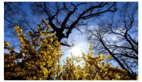 طقس الأربعاء .. استمرار الحرارة في الجنوب والشرق والمناطق الداخلية