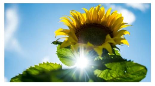 طقس الاثنين .. أجواء حارة في مناطق من المملكة