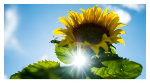 طقس الخميس .. أجواء حارة في هذه المناطق من المملكة