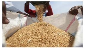 الحبوب والمواد الطاقية والمواد الأساسية المستوردة متوفرة