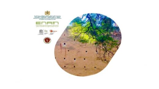 مقر بلدية مراكش يستضيف يوما دراسيا حول كيفيات تأهيل ثقافات البناء الايكولوجي المغربي