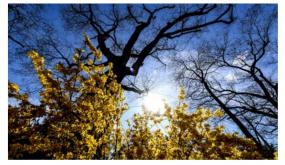 طقس الأحد .. أجواء حارة بهذه المناطق من المملكة