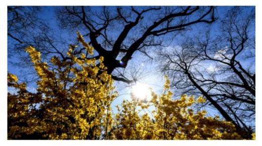 طقس الأربعاء .. استمرار الأجواء الحارة في مناطق من المملكة