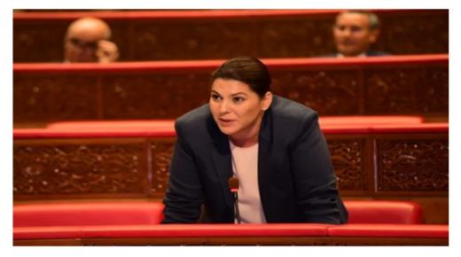 برنامج مدن بدون صفيح .. استفادة أزيد من 300 ألف أسرة بغلاف مالي قدره 40 مليار درهم