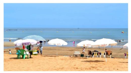 الجديدة .. حملة وأنشطة بيئية لتنقية الشاطئ من النفايات البلاستيكية