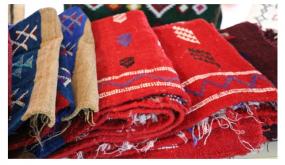 تعاونية تتركز بجهة بني ملال خنيفرةبني ملال