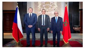 رئيس مجلس النواب يجري مباحثات مع وفد من البرلمان التشيكي