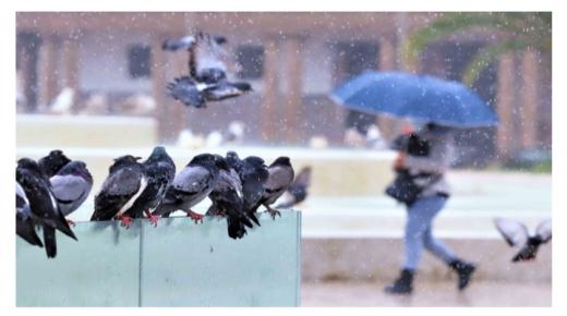 طقس الأحد .. مطر ورعد في عدد من المناطق ورياح قوية في الأطلس