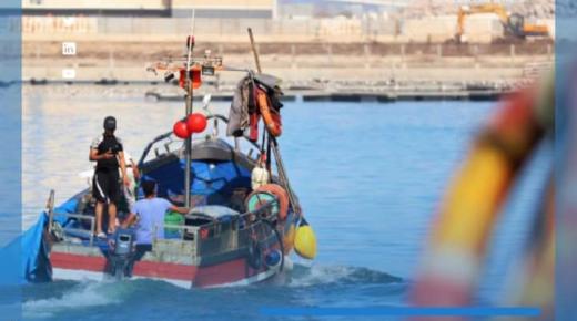 مصايد الاخطبوط تعزيز تدابير المراقبة و شروط التتبع