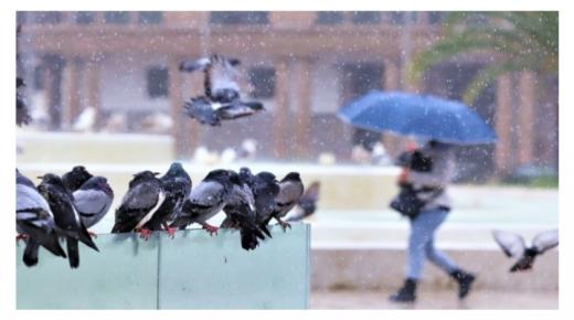 طقس السبت .. أمطار في هذه المناطق من المملكة